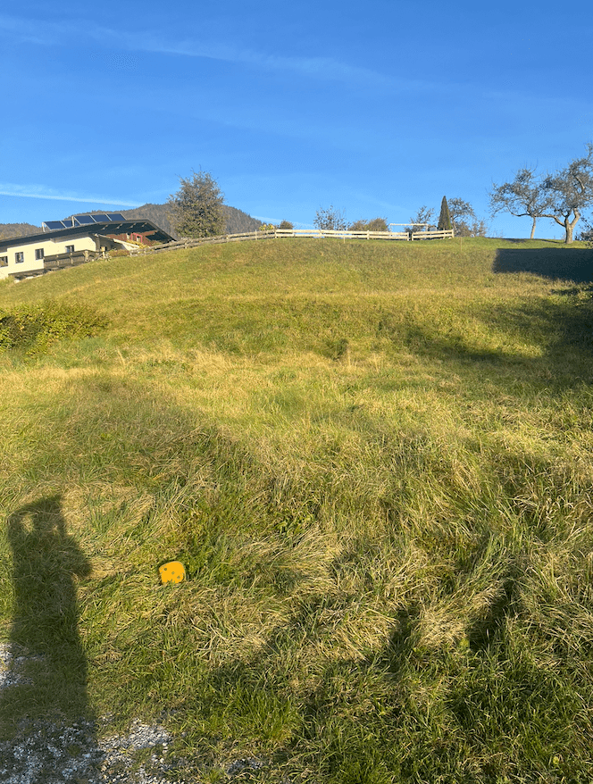 Grüne Wiese mit leichter Hanglage und einem Haus mit Solaranlage im Hintergrund an einem sonnigen Tag.