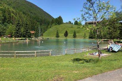 Idyllischer Badesee mit Liegewiese und Waldrand, perfekt für Entspannung in der Natur.