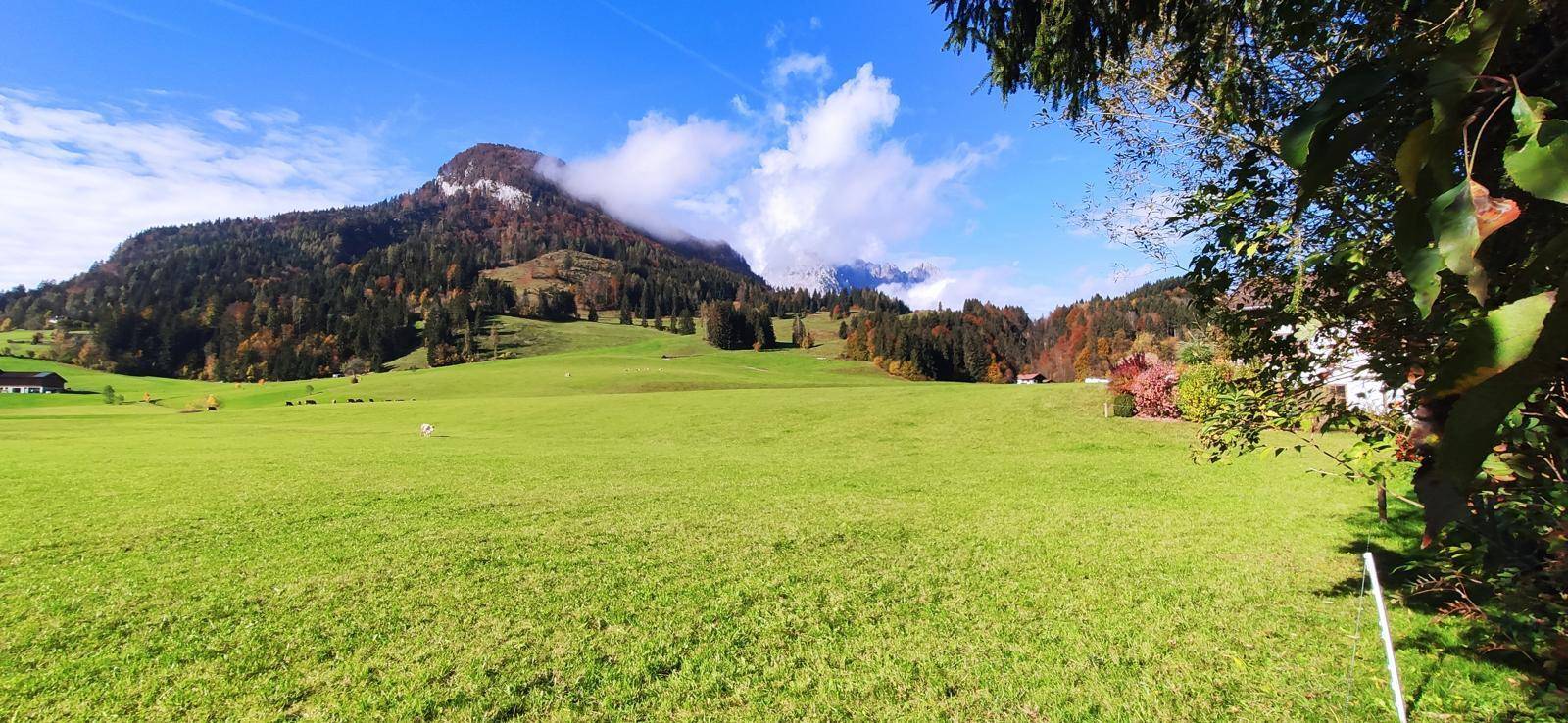 Herbstliche Berglandschaft mit grünen Wiesen und bewaldeten Hängen unter blauem Himmel.
