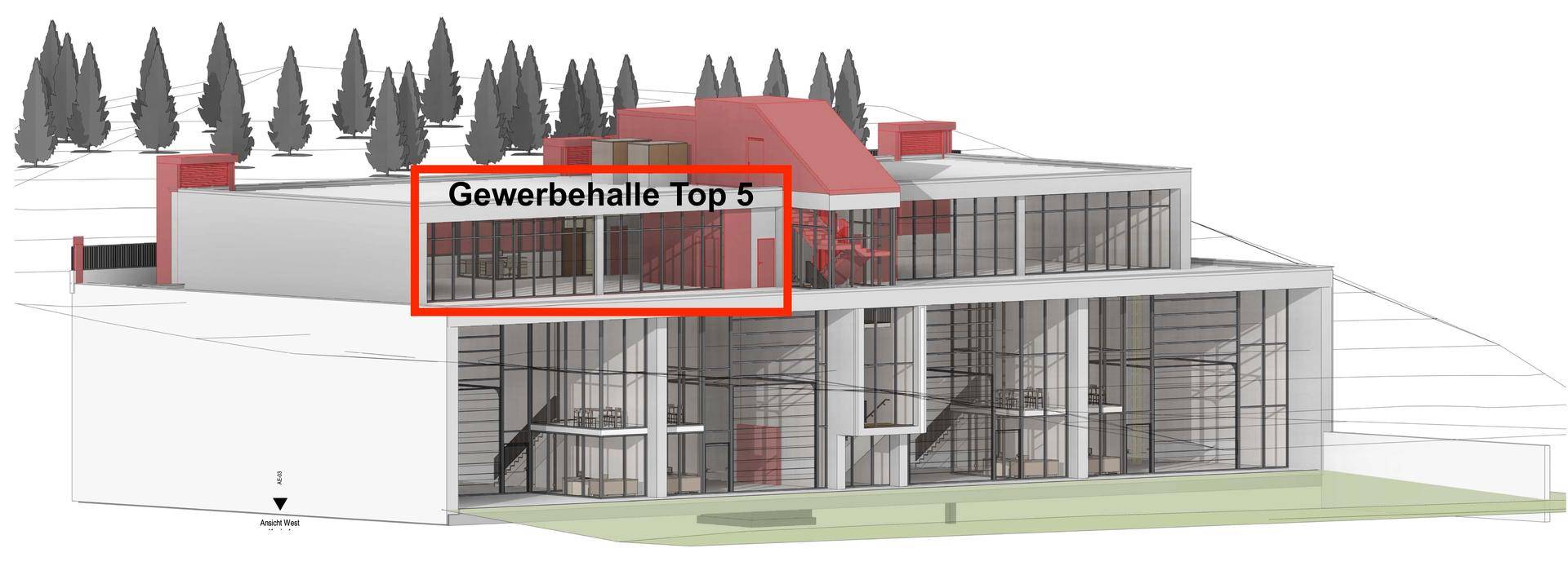 Top 5 Gewerbehalle Marbling Thiersee