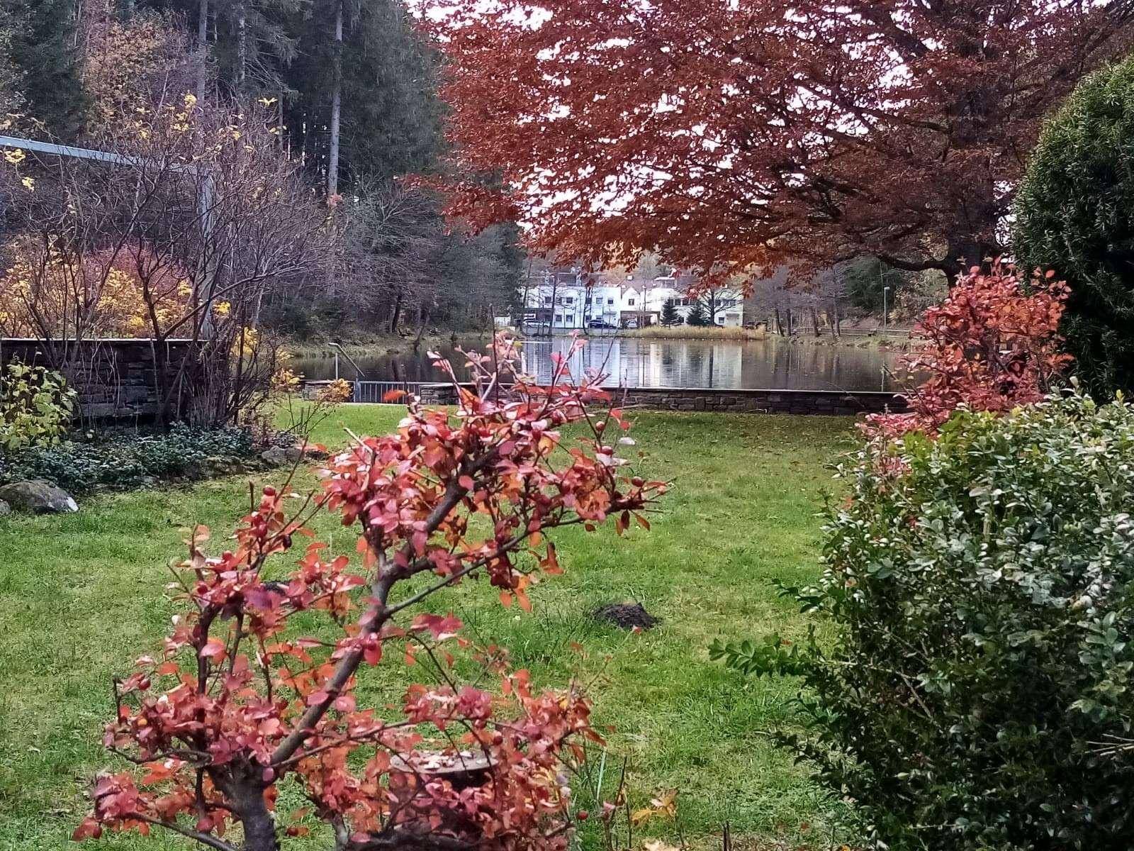 Herbstlicher Garten mit Rasenfläche, bunten Sträuchern und Blick auf den See im Hintergrund.