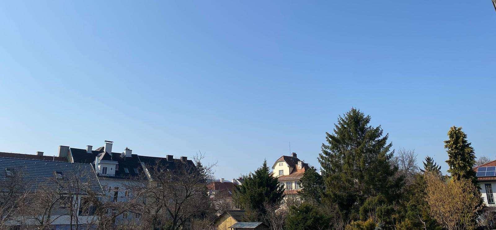 Blick über die Dächer der Nachbarschaft mit Bäumen und blauem Himmel an einem sonnigen Tag.