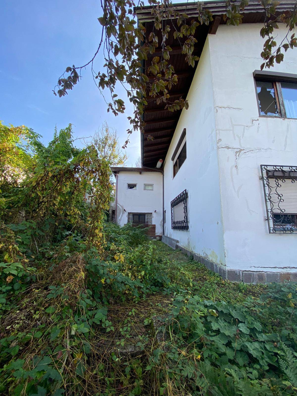 Seitenansicht des Hauses mit stark bewachsenem Bereich und Blick auf ein Nebengebäude.