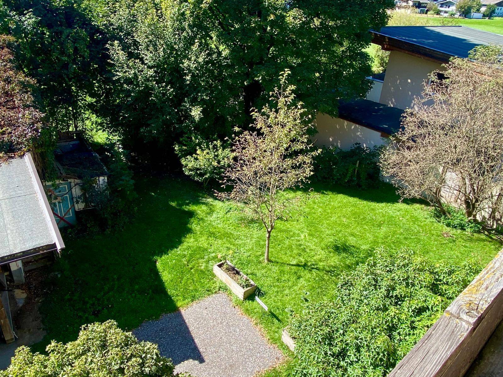 Gepflegter Gartenbereich mit Rasenfläche und jungen Bäumen, umgeben von Grün.