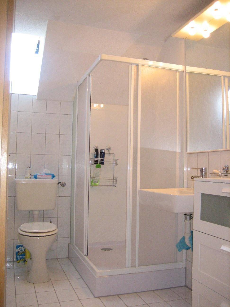 Badezimmer mit Toilette, Duschkabine, Waschbecken und einem Dachfenster für natürliches Licht.
