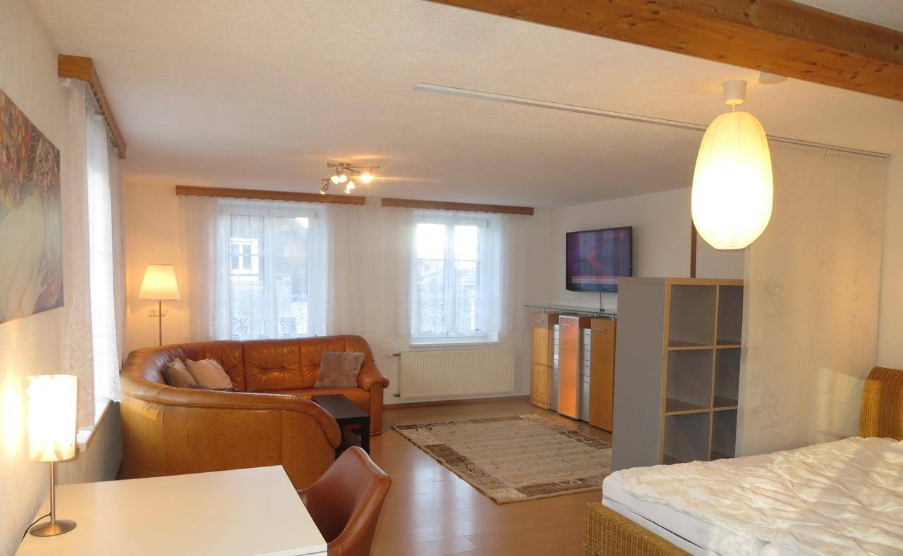 Gemütlicher Wohnbereich mit Ledersofa, Fernseher und Blick auf die Umgebung durch die Fenster.