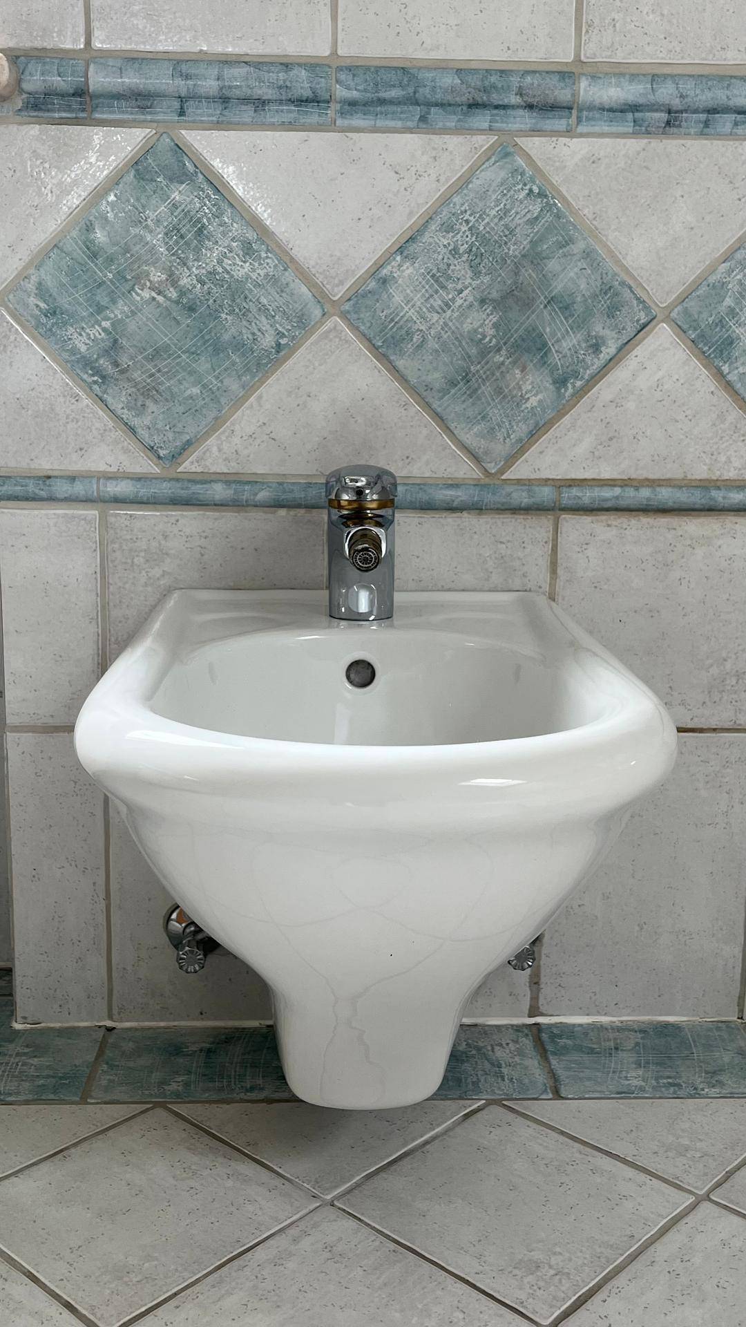 Nahaufnahme eines Bidets in einem gefliesten Badezimmer mit dekorativen Wandfliesen.
