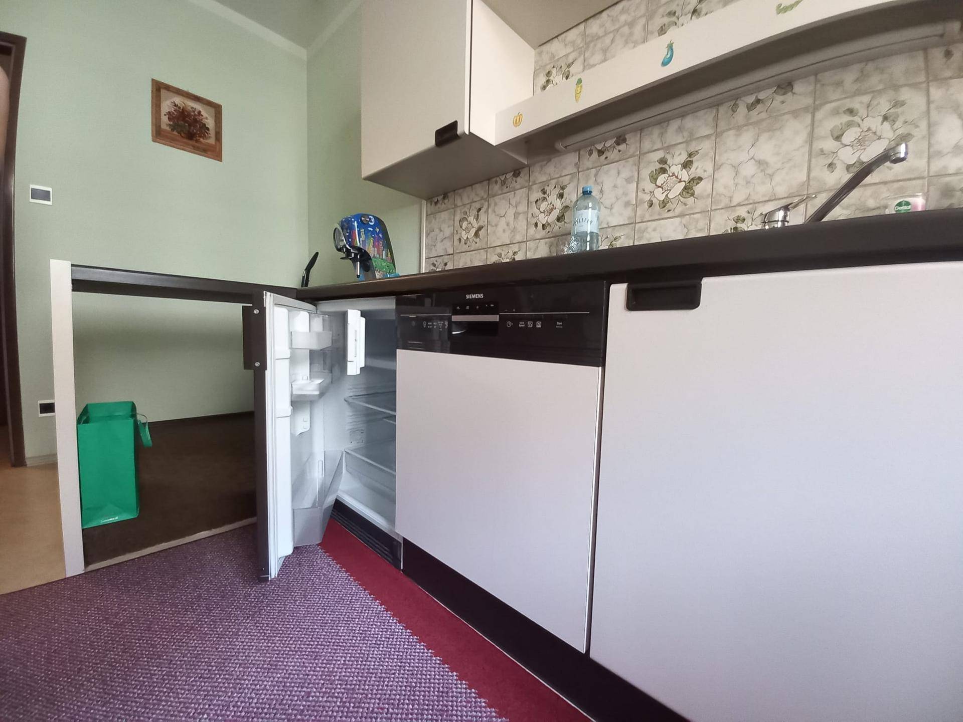 Küche mit integriertem Geschirrspüler und Kühlschrank, die eine effiziente Nutzung des Raumes ermöglichen.