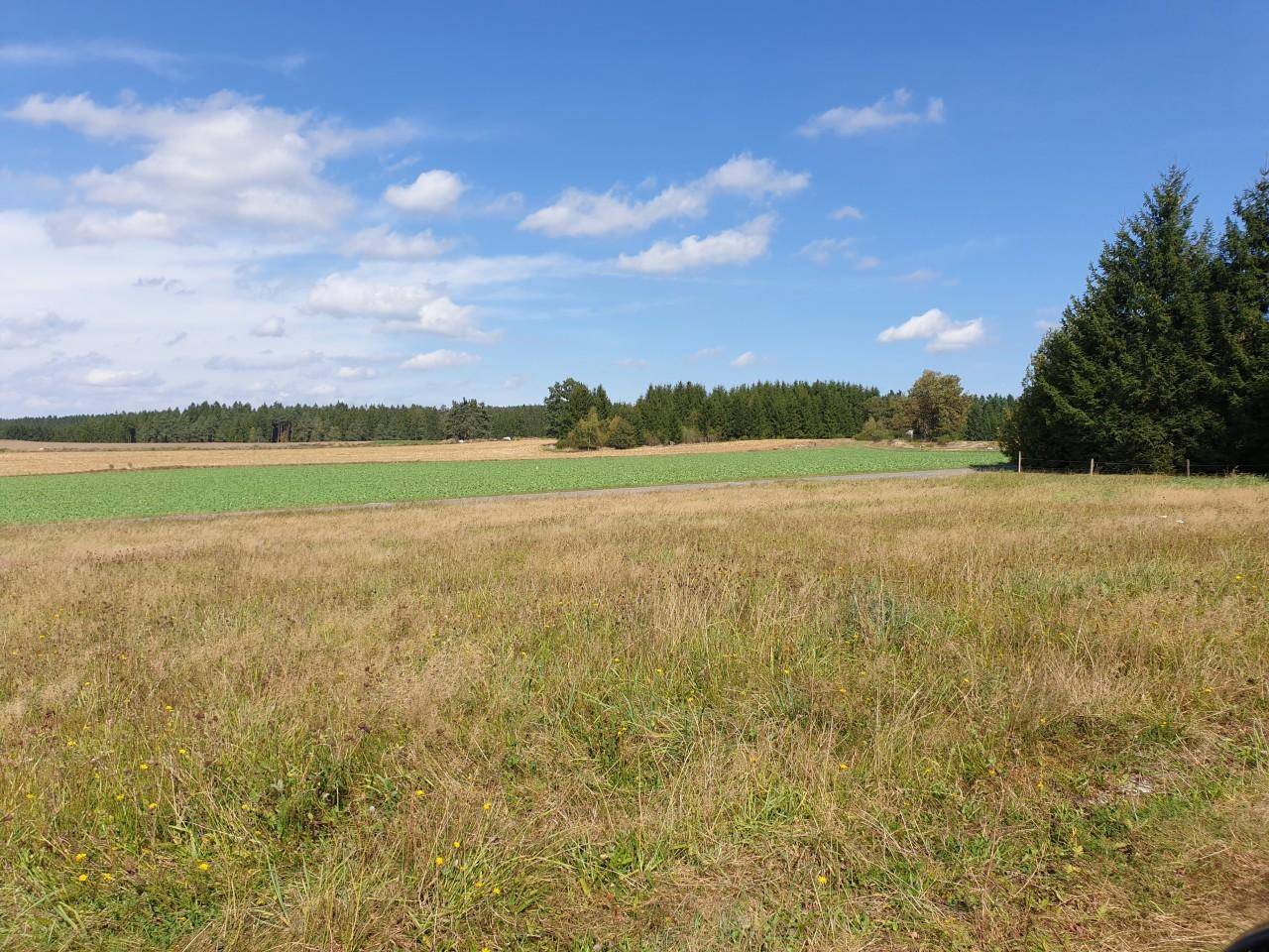 Idyllische Landschaft mit Feldern und einem dichten Waldstreifen unter einem klaren blauen Himmel.