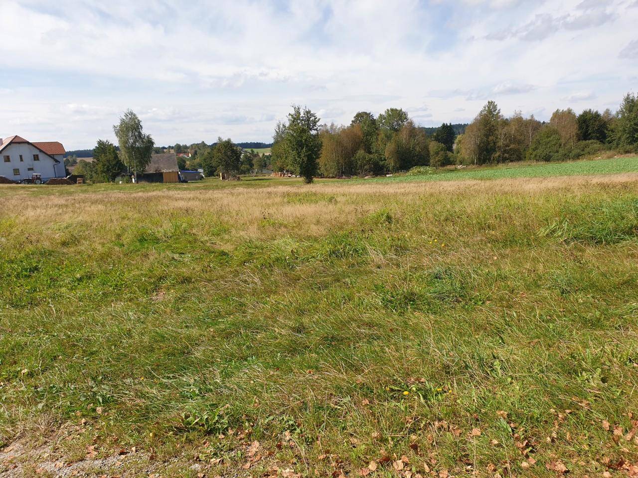 Weitläufige Wiesenlandschaft mit vereinzelten Häusern und Wald am Horizont unter bewölktem Himmel.