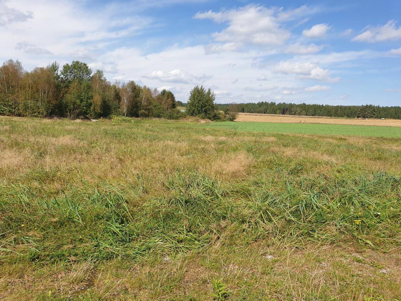 Panoramablick über weite Felder und Wälder unter einem strahlend blauen Himmel.