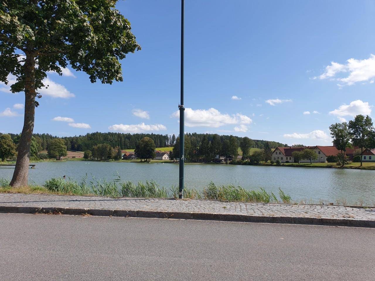 Idyllischer Blick auf einen ruhigen See mit Schilf, umgeben von Bäumen und Häusern am Ufer.