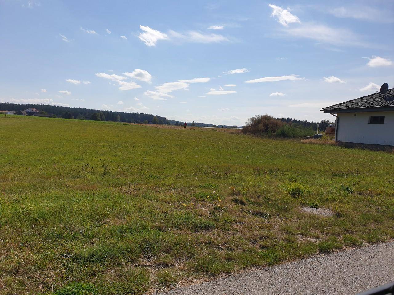 Weite grüne Wiese neben einem Haus, umgeben von Bäumen unter blauem Himmel.