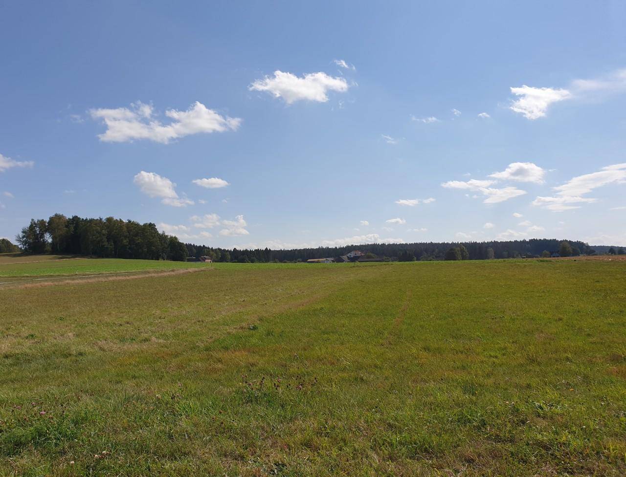 Ausgedehnte grüne Wiesenlandschaft unter einem weiten blauen Himmel mit Wald am Horizont.