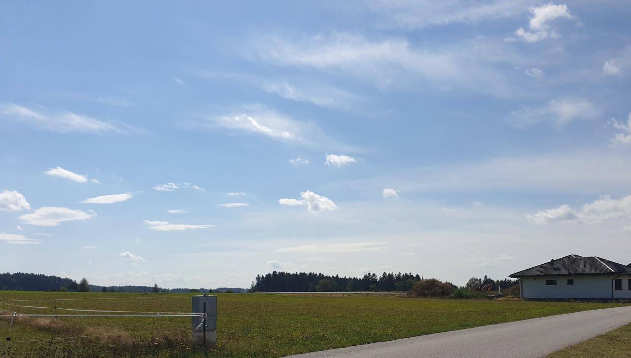 Blick über eine grüne Wiese mit einem Haus am Rand und Wald in der Ferne unter blauem Himmel.