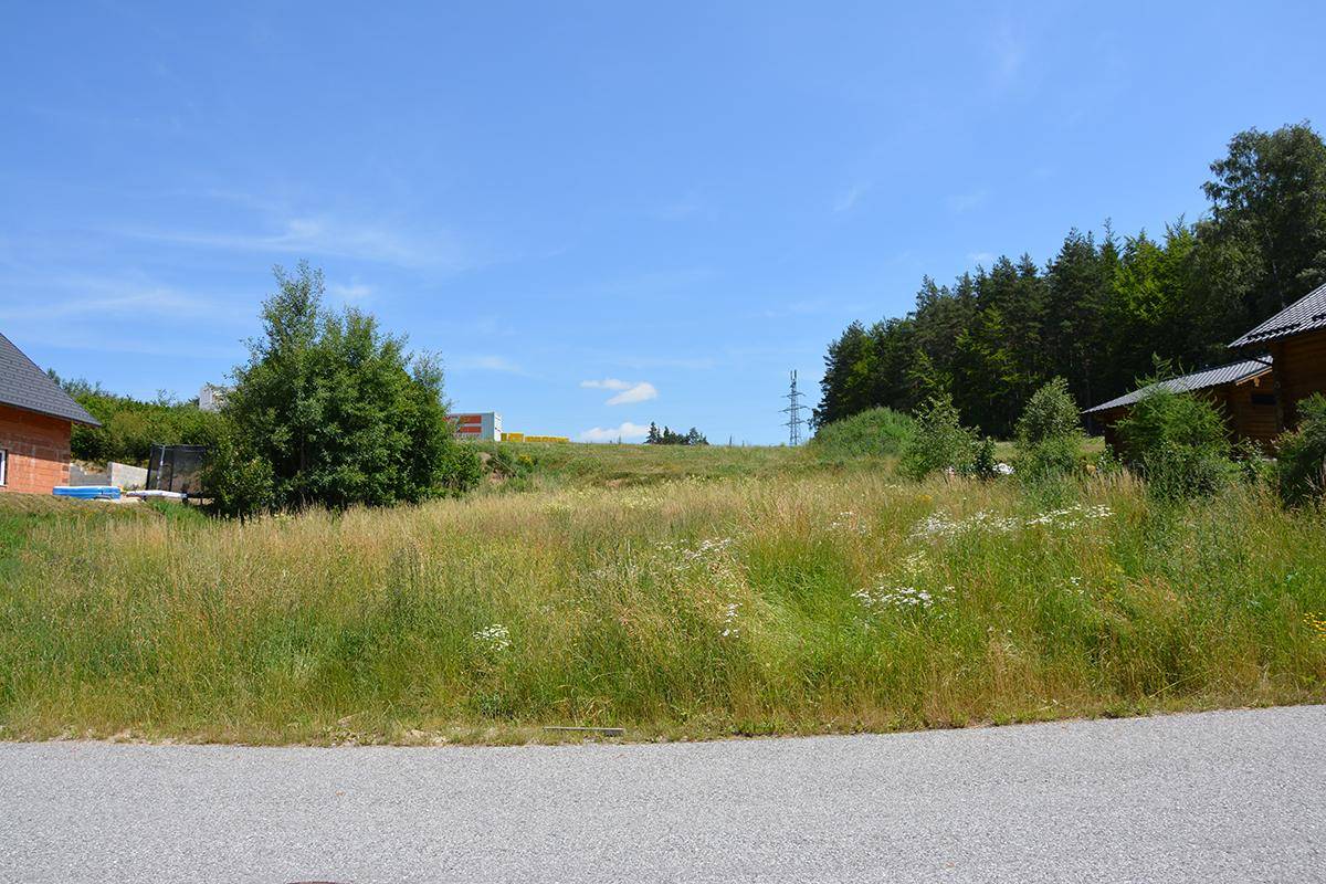 Weitläufiges grünes Grundstück mit einem im Bau befindlichen Haus und Bäumen im Hintergrund unter klarem Himmel.