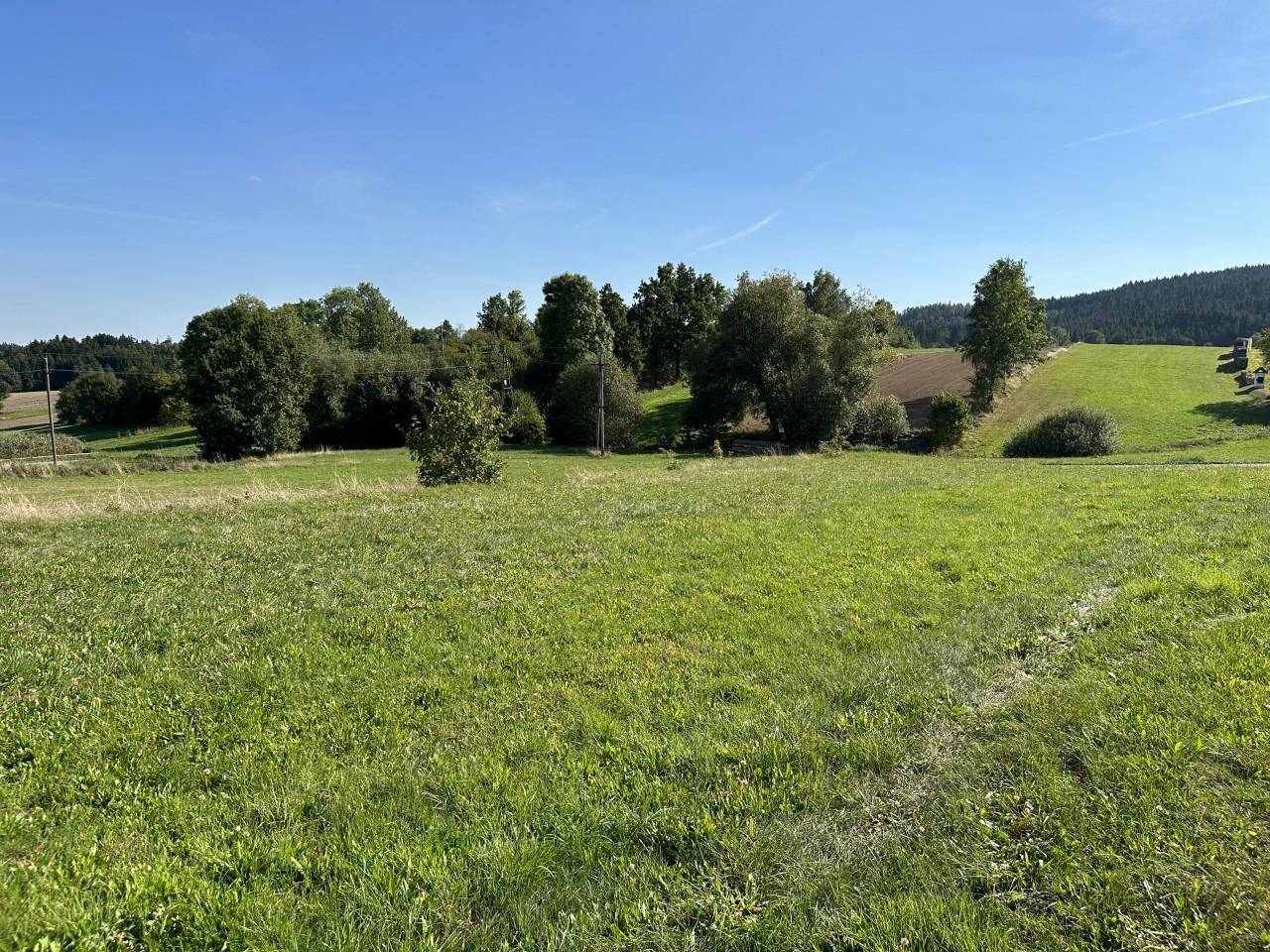 Ausgedehnte grüne Landschaft mit Bäumen und Heuballen auf den Hügeln unter einem strahlend blauen Himmel.