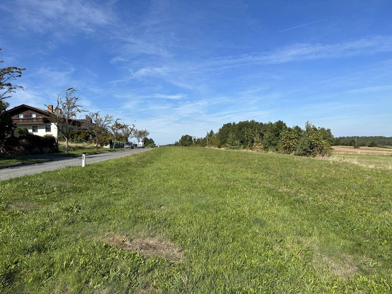 Grüne Wiese entlang einer Straße mit einem Wohnhaus und Bäumen im Hintergrund unter klarem Himmel.