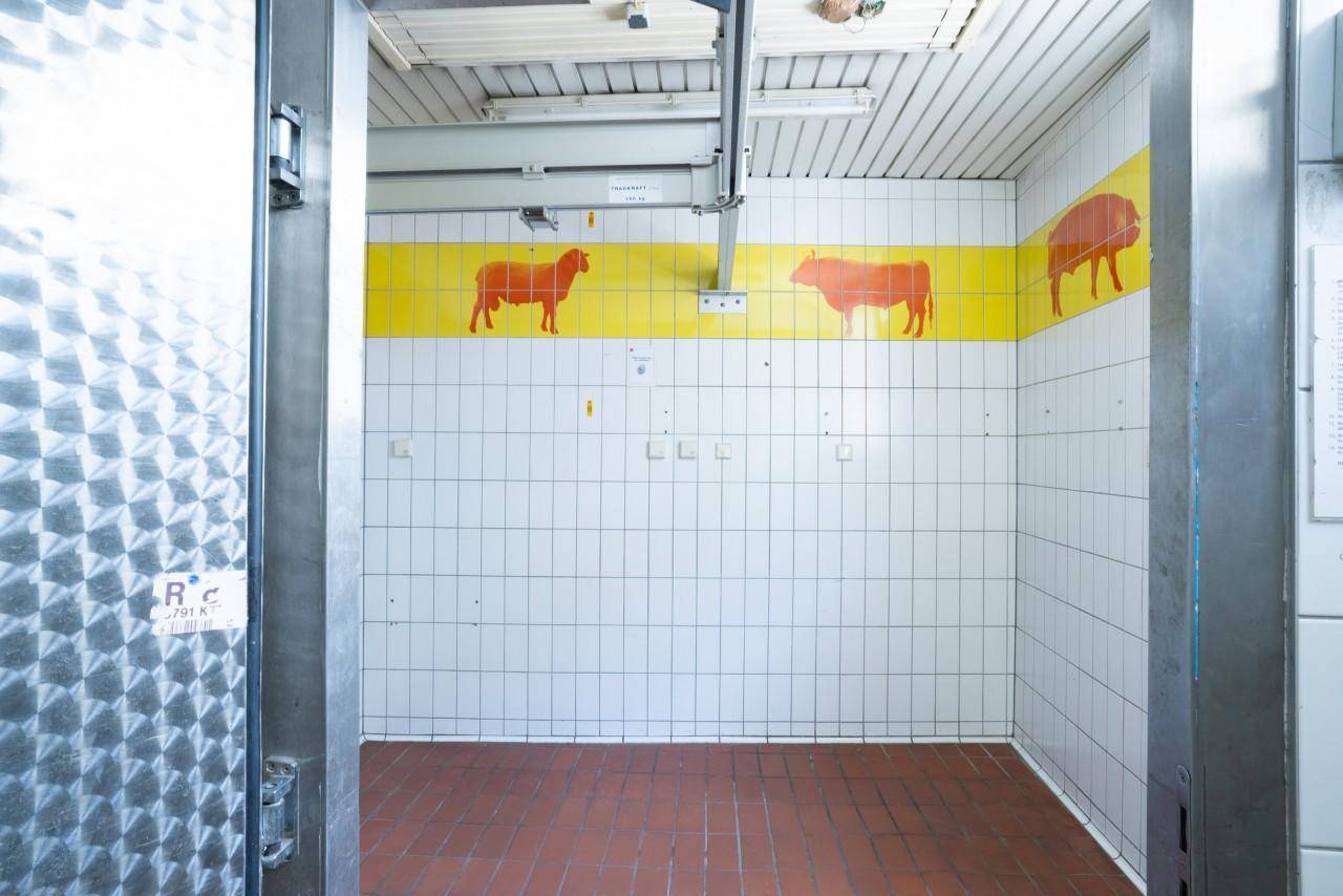 Gefliester Arbeitsraum mit Tiergrafiken an der Wand und robustem Boden.