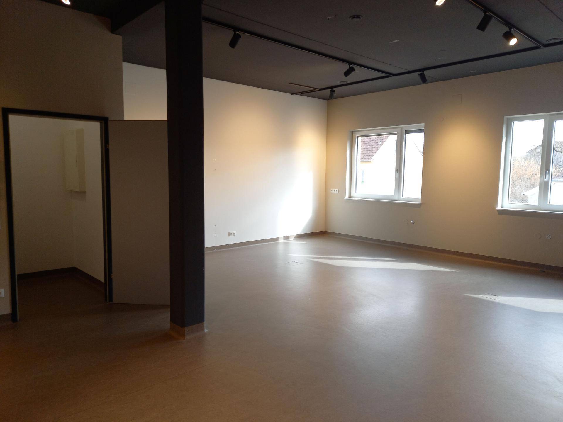 Großer, leerer Raum mit mehreren Fenstern, Vinylboden und moderner Deckenbeleuchtung.