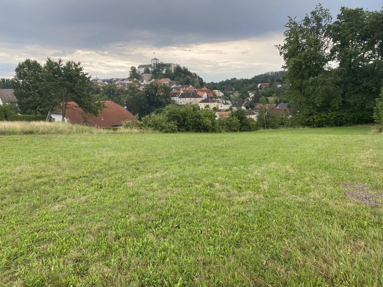 Grüne Wiese mit Blick auf die Stadt Weitra und ihre Burg unter einem bewölkten Himmel.