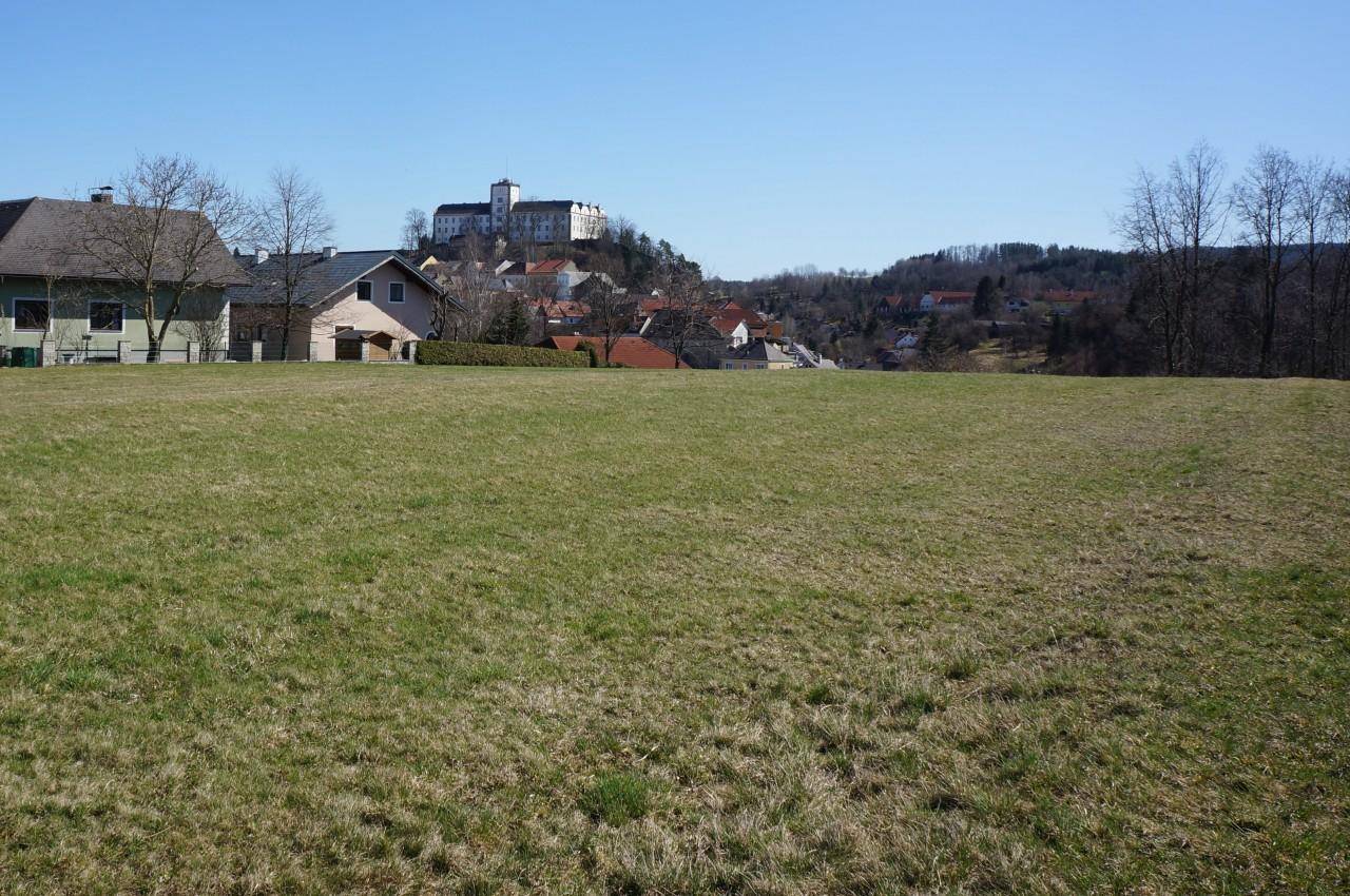 Weitläufige Grünfläche mit Blick auf die historische Stadt Weitra und ihre Burg unter blauem Himmel.
