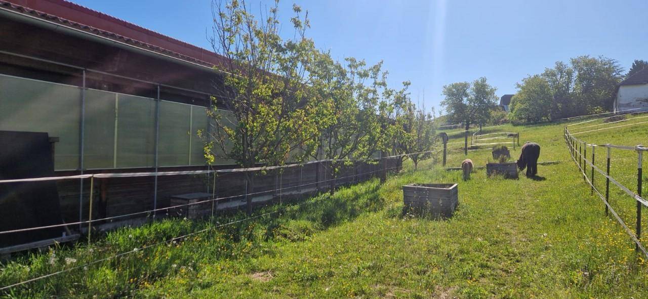 Seitenansicht eines Stallgebäudes mit Zaun, grüner Wiese und Bäumen im Sonnenlicht.