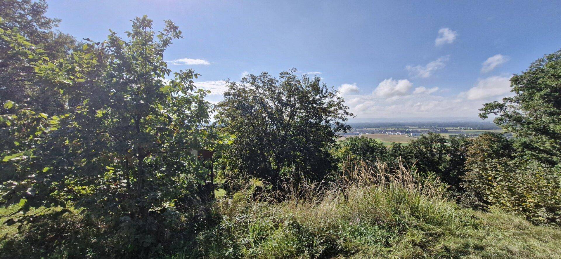 Weitläufiger Blick über die Landschaft mit grünen Bäumen und einem Dorf in der Ferne.