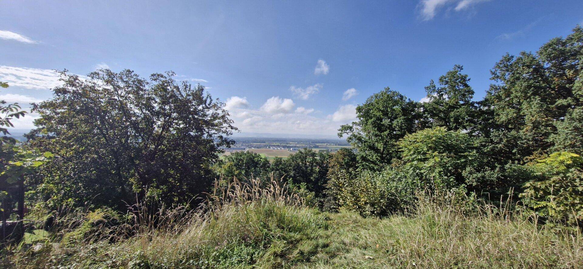Weitläufiger Blick über die Landschaft mit grünen Bäumen und einem Dorf in der Ferne.