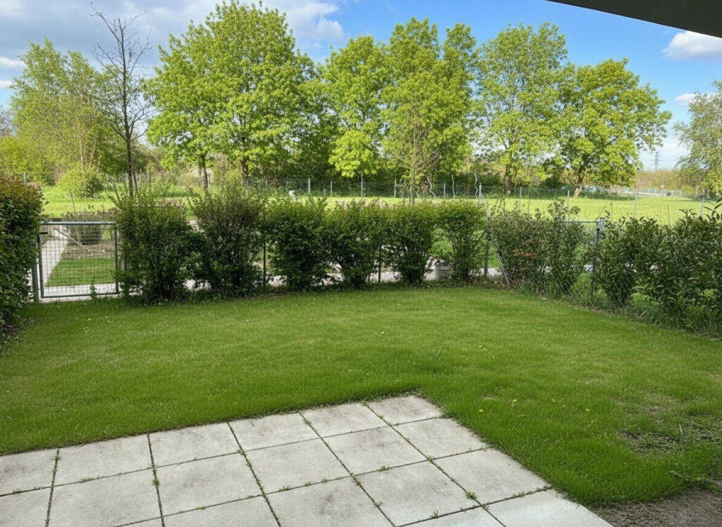 Grüner Gartenbereich mit gepflasterter Terrasse und hohen Bäumen im Hintergrund.