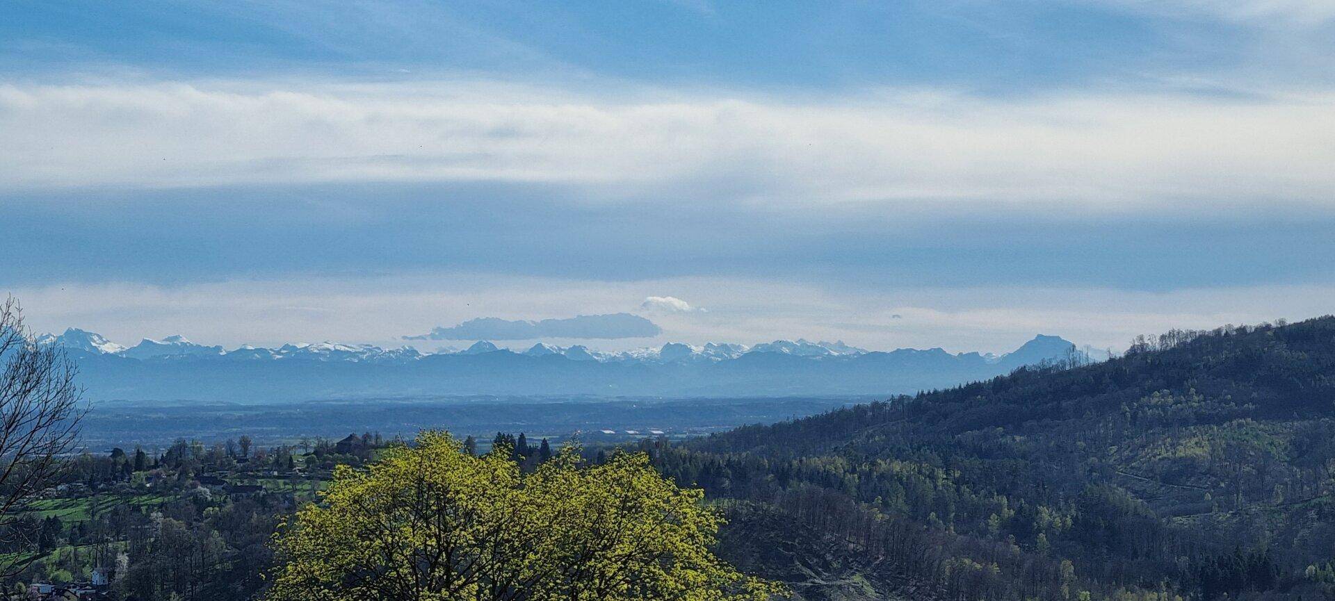 Malerischer Weitblick über eine grüne Hügellandschaft mit schneebedeckten Bergen am Horizont.