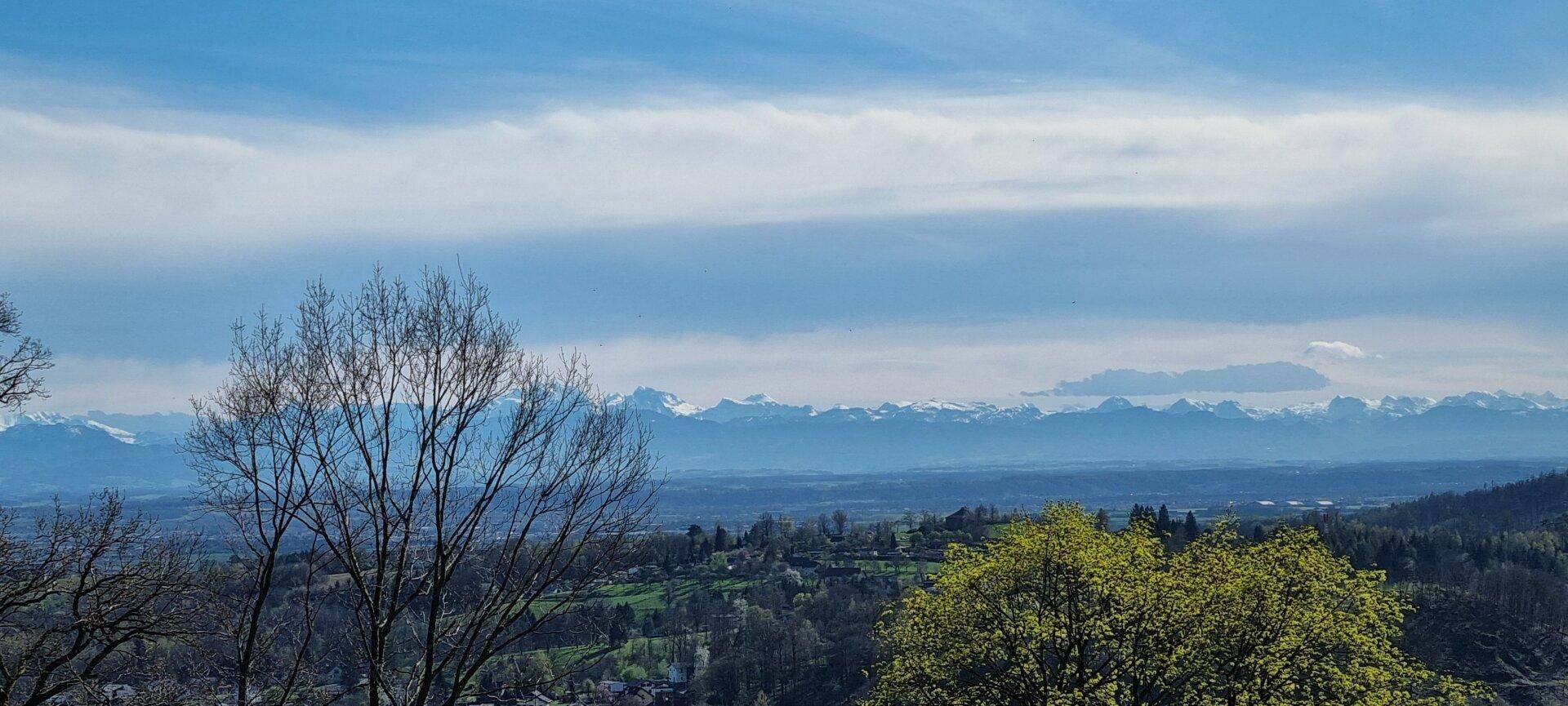 Atemberaubender Ausblick auf die weite Landschaft mit bewaldeten Hügeln und Alpenpanorama.