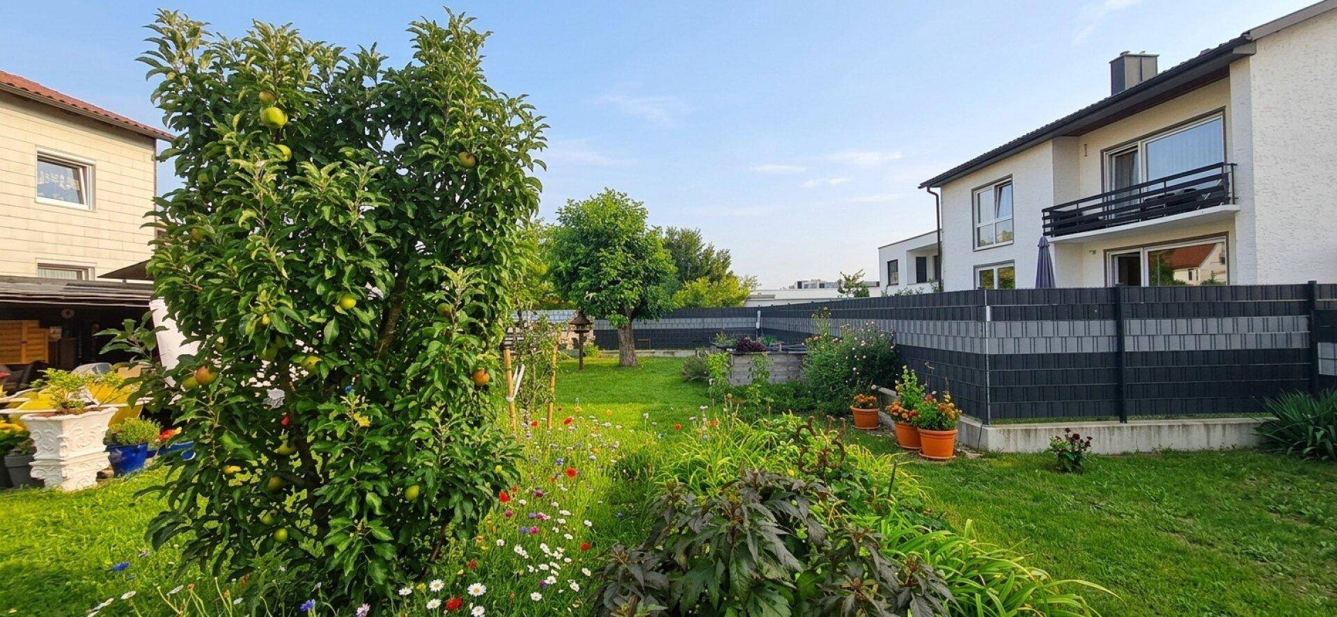 Grüner Garten mit einem jungen Obstbaum im Vordergrund und einem modernen Wohnhaus im Hintergrund.