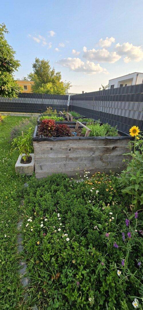 Hochbeet im Garten mit verschiedenen Gemüsepflanzen und Kräutern, umgeben von Grün.