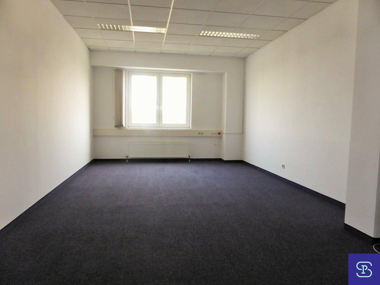 Langes, leeres Büro mit Teppichboden, weißen Wänden und einem Fenster, das Tageslicht spendet.