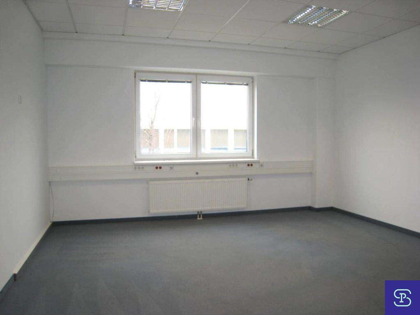 Büro mit Teppichboden und einem großen Fenster, das für eine helle Arbeitsatmosphäre sorgt, mit Heizkörper.