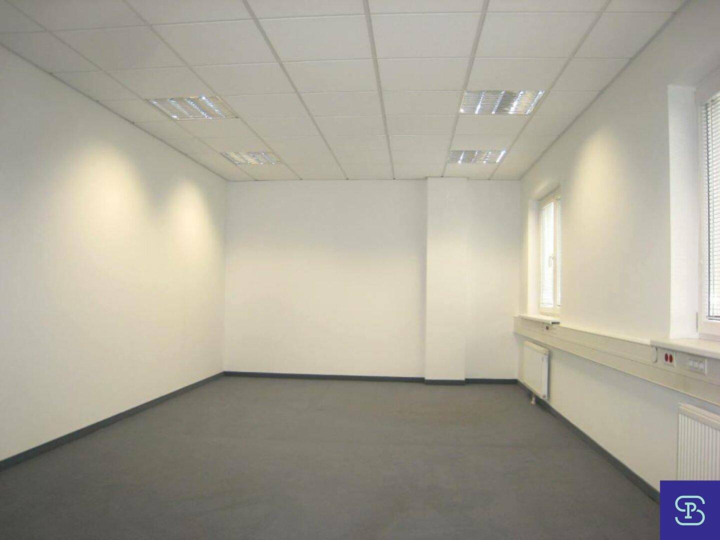 Helles Büro mit Teppichboden, zwei Fenstern und abgehängter Decke, ideal für konzentriertes Arbeiten.