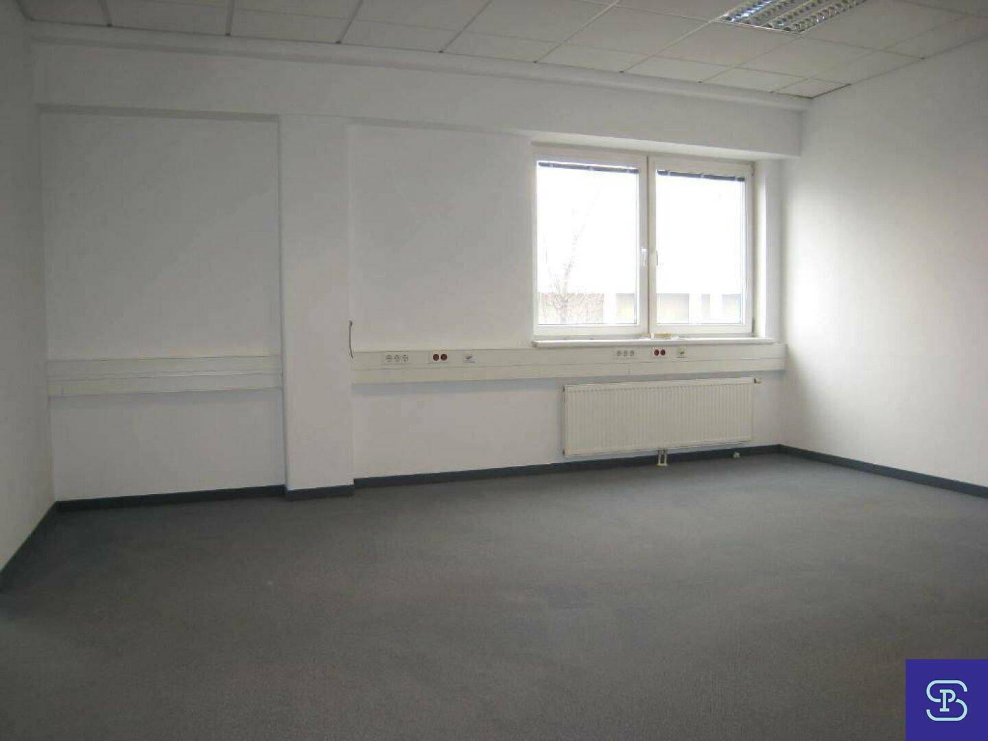 Büro mit Teppichboden und einem breiten Fenster, das viel Tageslicht hereinlässt, mit Heizkörper darunter.