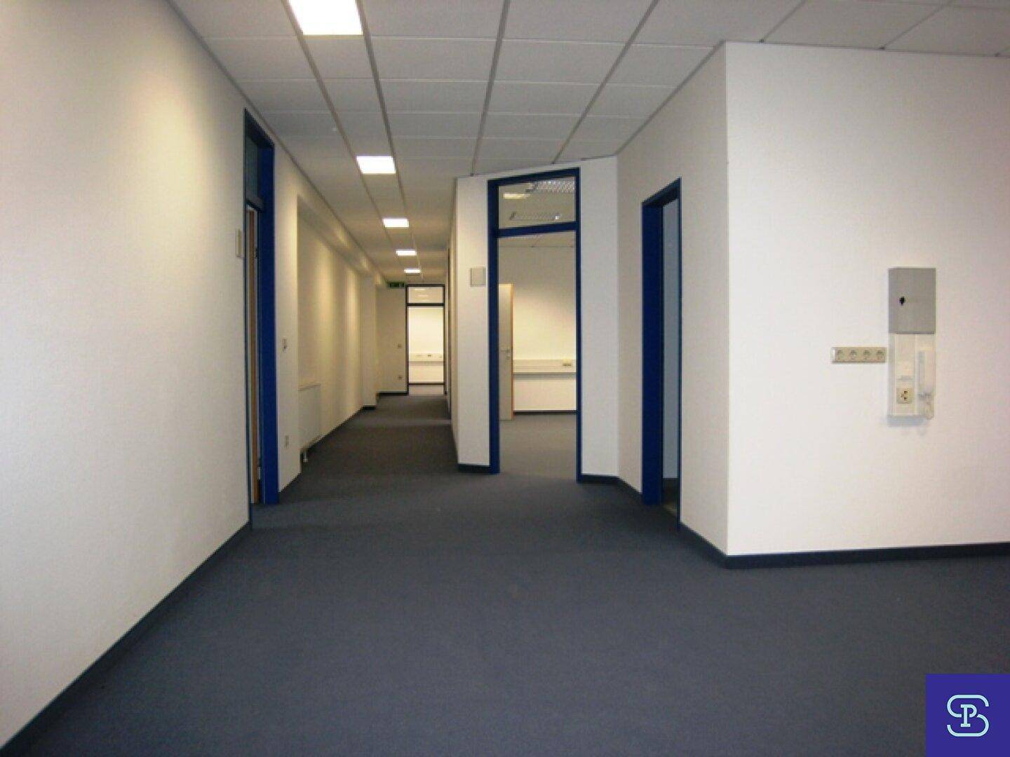 Langer Bürogang mit blauen Türen und Teppichboden, der zu weiteren Räumen führt.