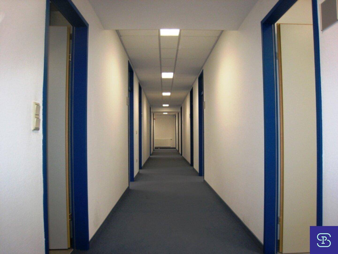 Langer, heller Flur mit blauen Türrahmen und Teppichboden, der eine Reihe von Büros verbindet.