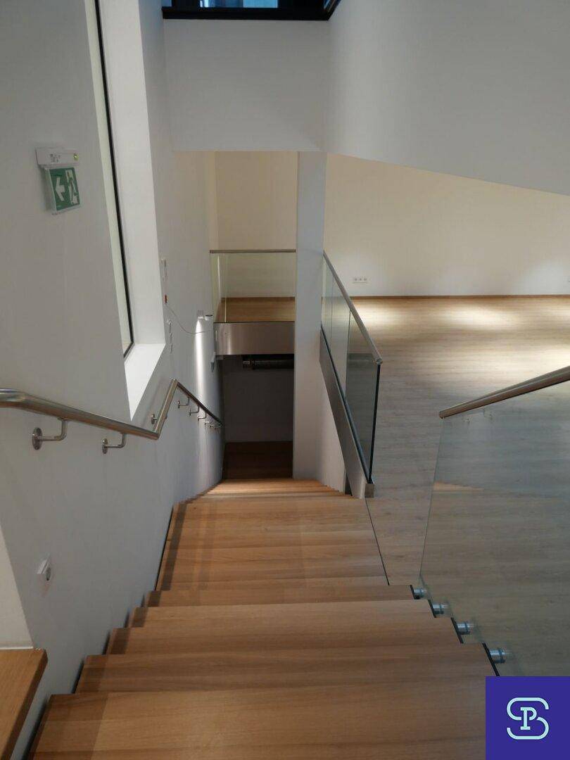 Elegante Holztreppe mit Glasgeländer, die nach unten führt, mit Notausgangsschild.