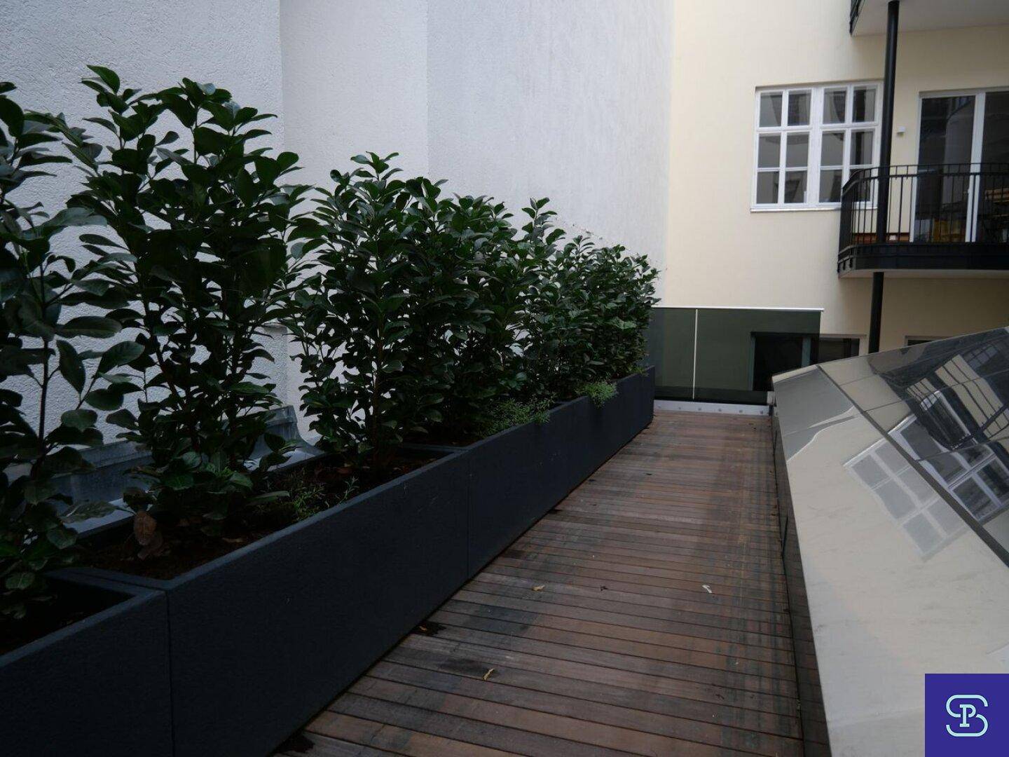 Außenbereich mit Holzterrasse und großen Pflanzkübeln mit grünen Sträuchern.