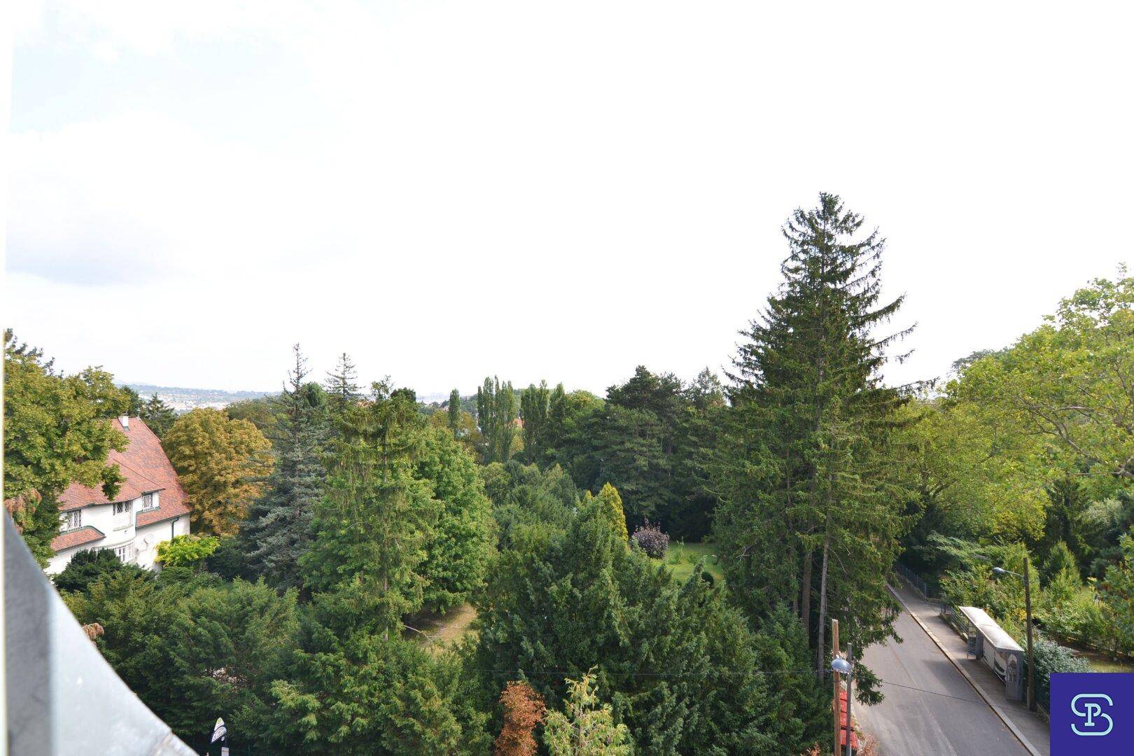 Weitläufiger Blick ins Grüne mit dichtem Baumbestand, einer ruhigen Straße und einem Haus in der Ferne.