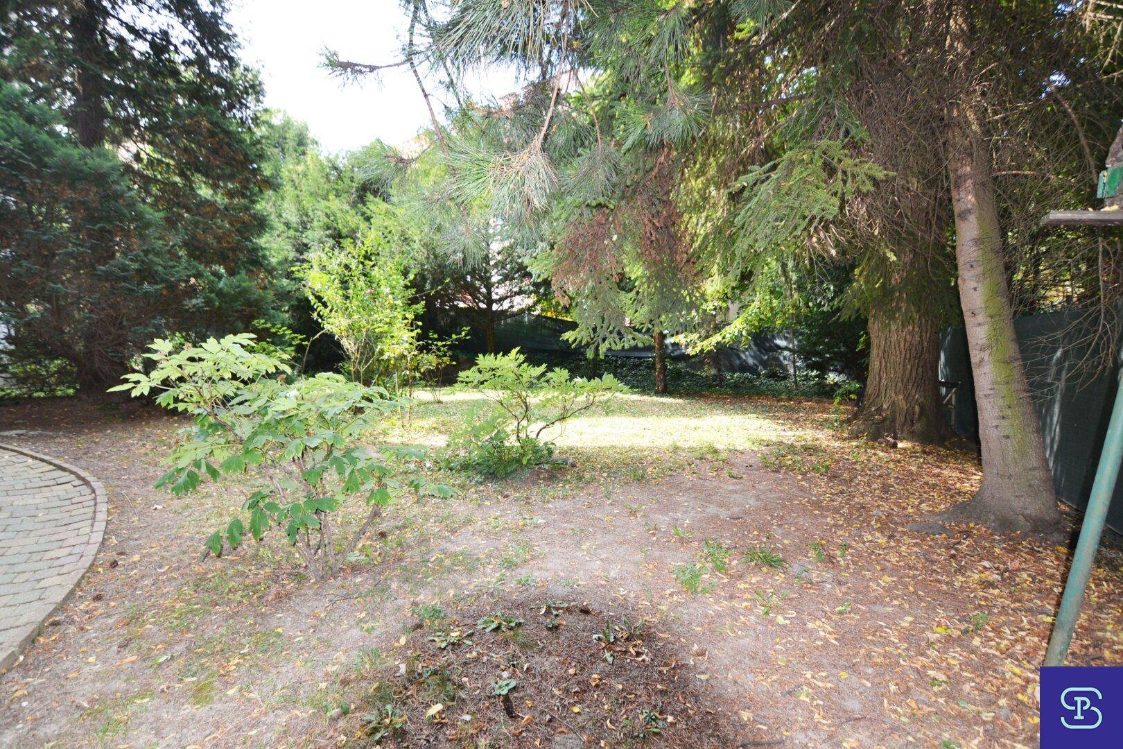 Naturbelassener Gartenbereich mit altem Baumbestand, Rasenfläche und gepflastertem Weg.