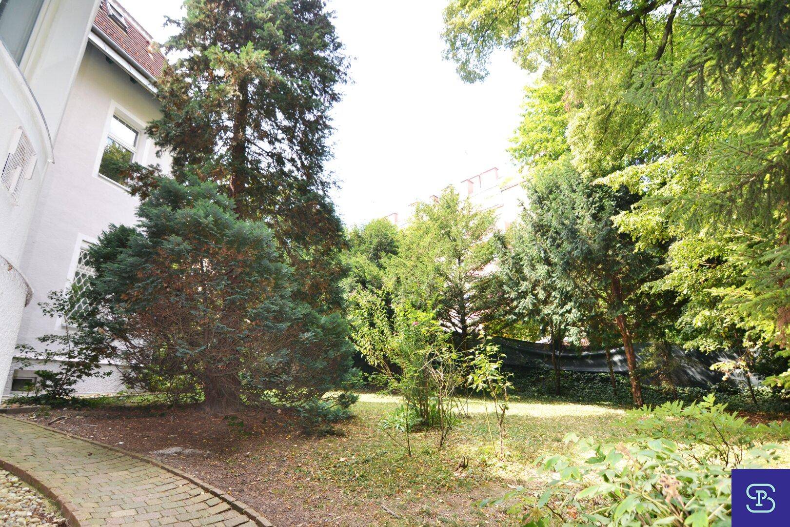 Grüner Gartenbereich mit altem Baumbestand, Rasenfläche und Blick auf die Gebäudefassade.