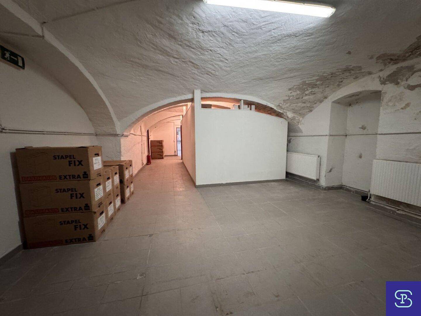 Großer Kellerbereich mit Gewölbedecke und Betonboden, ideal für Lagerung oder Umbau, mit viel Platz.