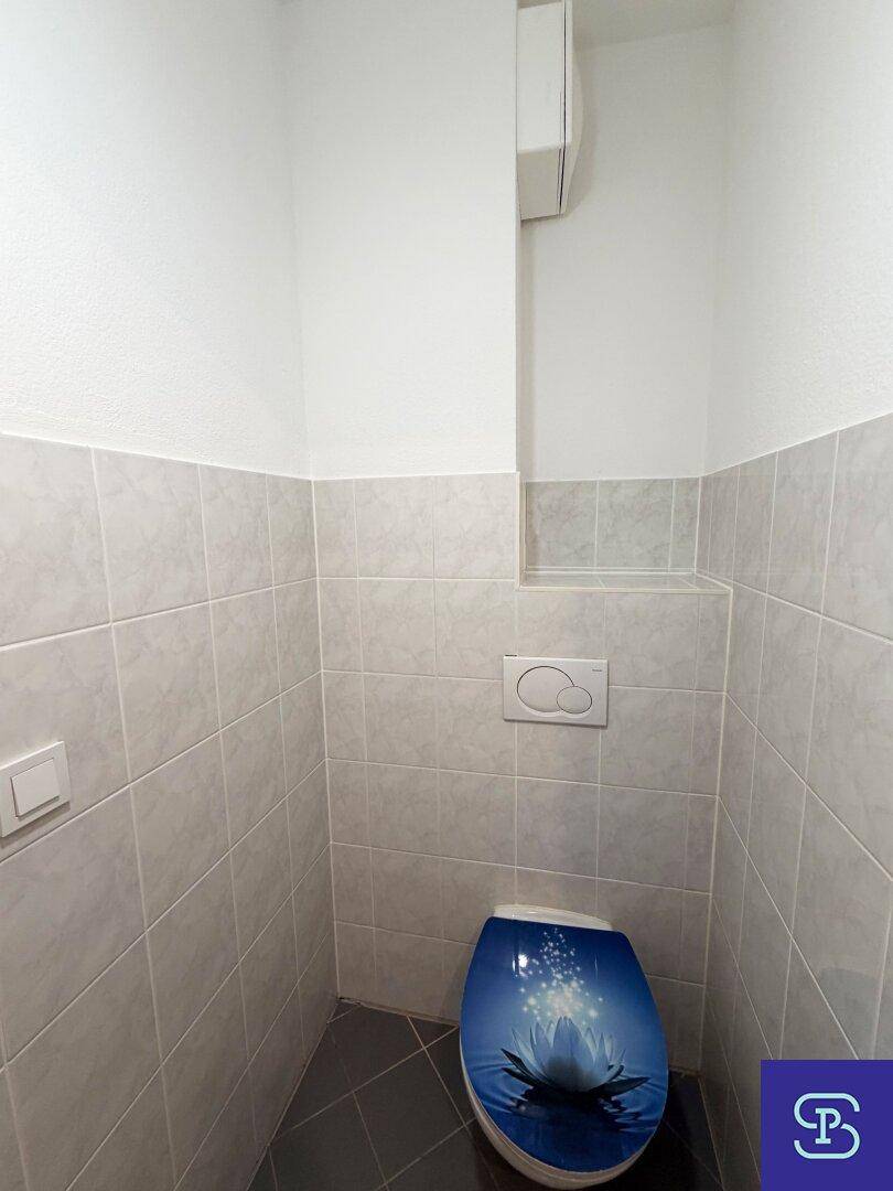 Kleines Gäste-WC mit modernen Fliesen und einer dekorativen Toilettenbrille.