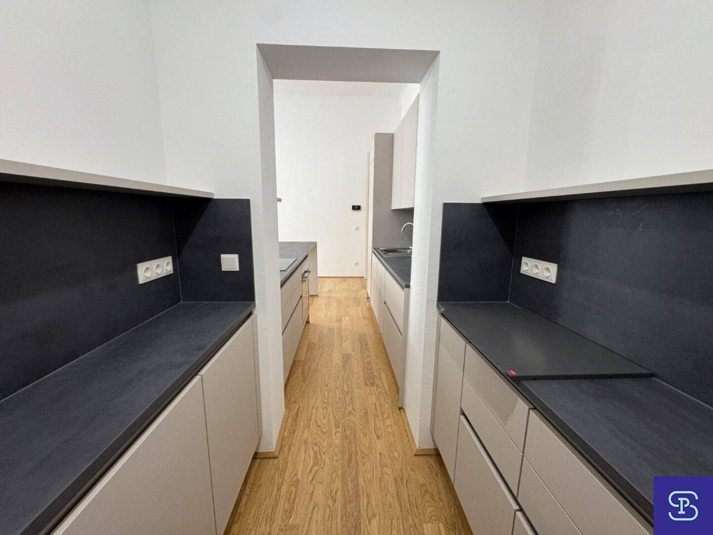 Schmale, moderne Küche mit Arbeitsflächen auf beiden Seiten und Holzboden.
