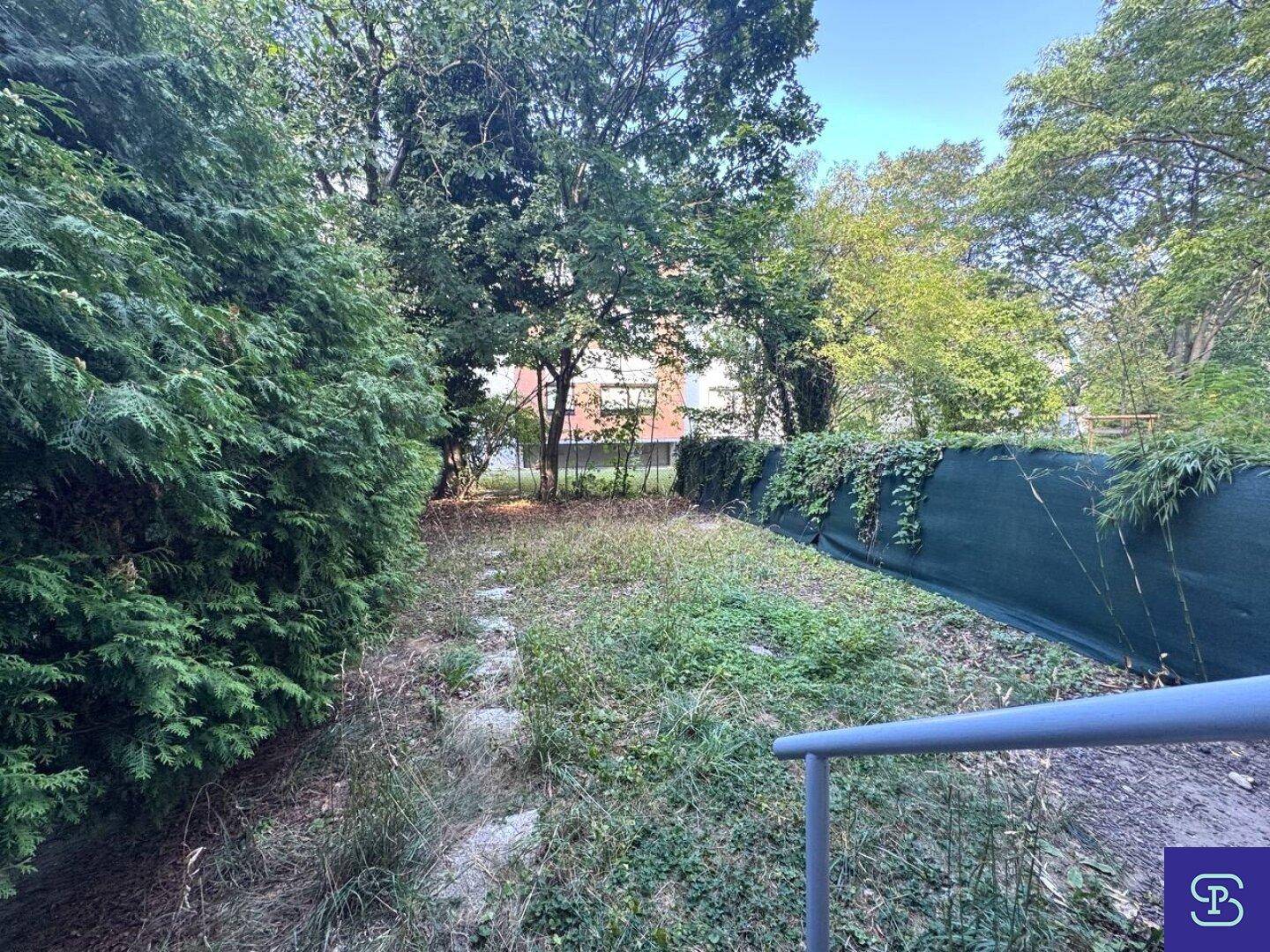 Großer Gartenbereich mit Rasenfläche und altem Baumbestand im Hintergrund.