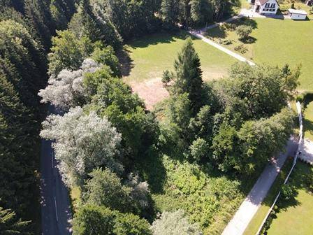 Blick von oben auf ein bewaldetes Gebiet mit einem Weg und einem Haus in der Ferne.